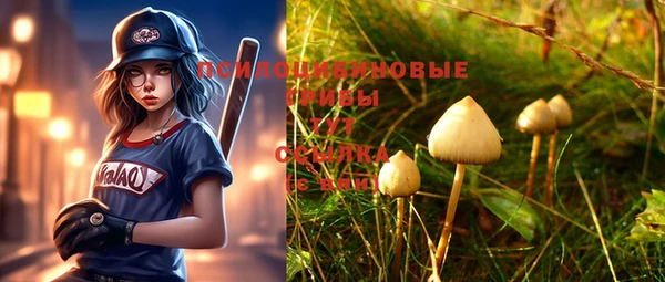 меф Вяземский
