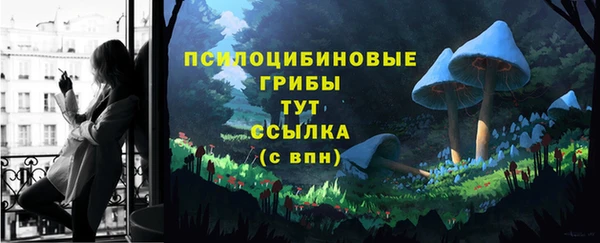 СК Володарск