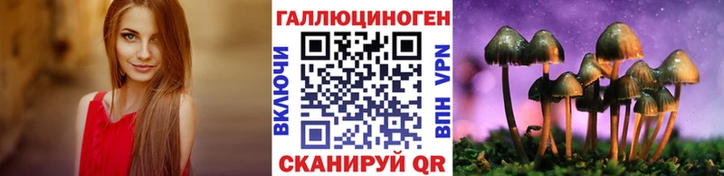 где можно купить наркотик  Лыткарино  Галлюциногенные грибы Psilocybe 